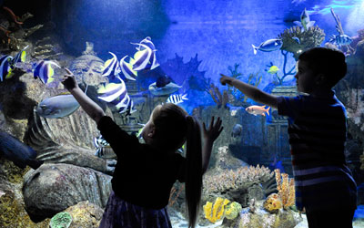 Deepseaworld | Visit Scotland's National Aquarium