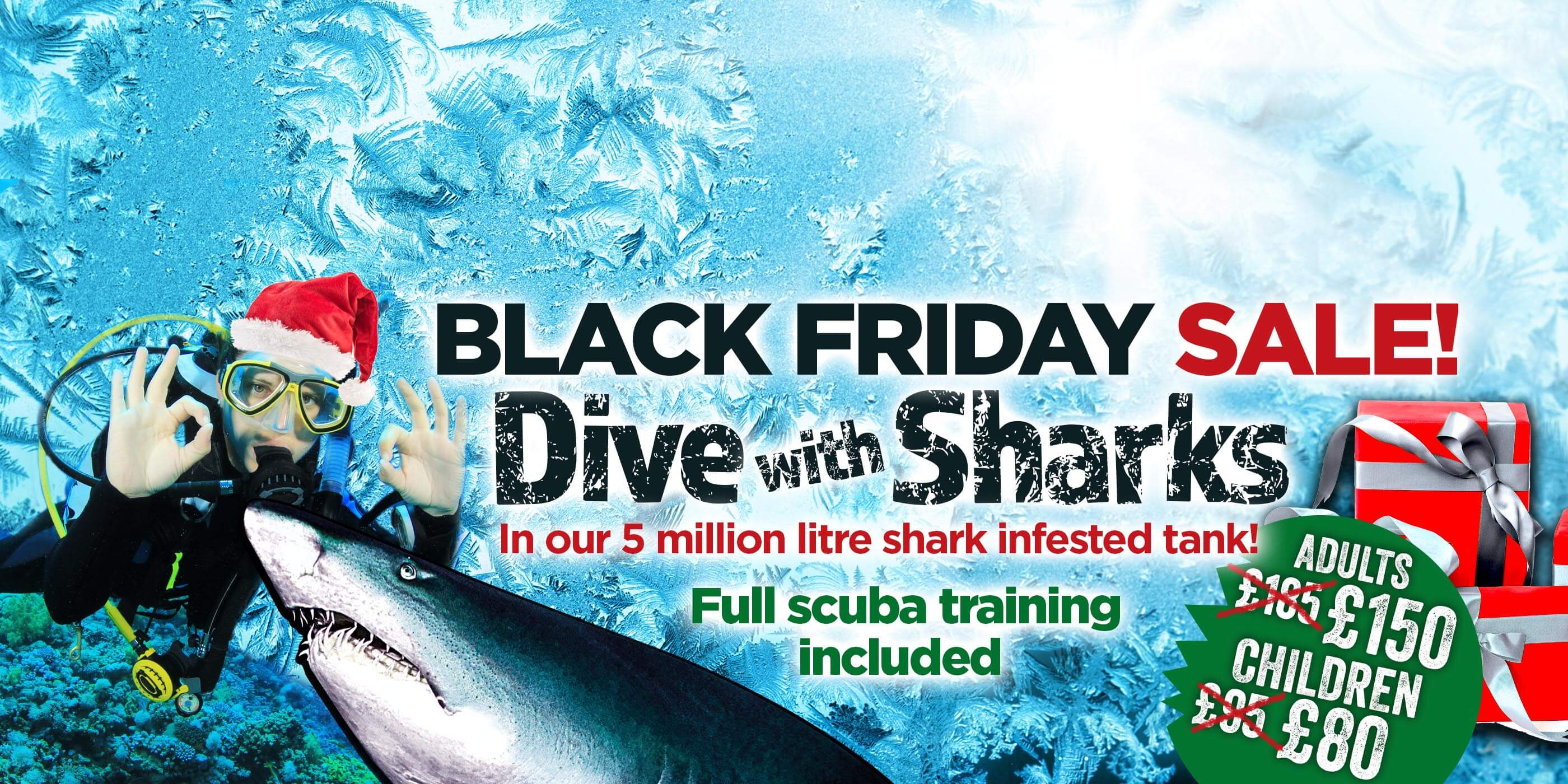 Deep Sea World Scotland's National Aquarium